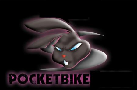 POCKET BICK
